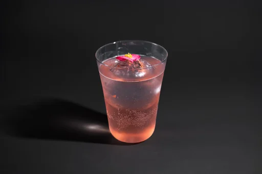 sofia_rosa_yoy_bar_dubai