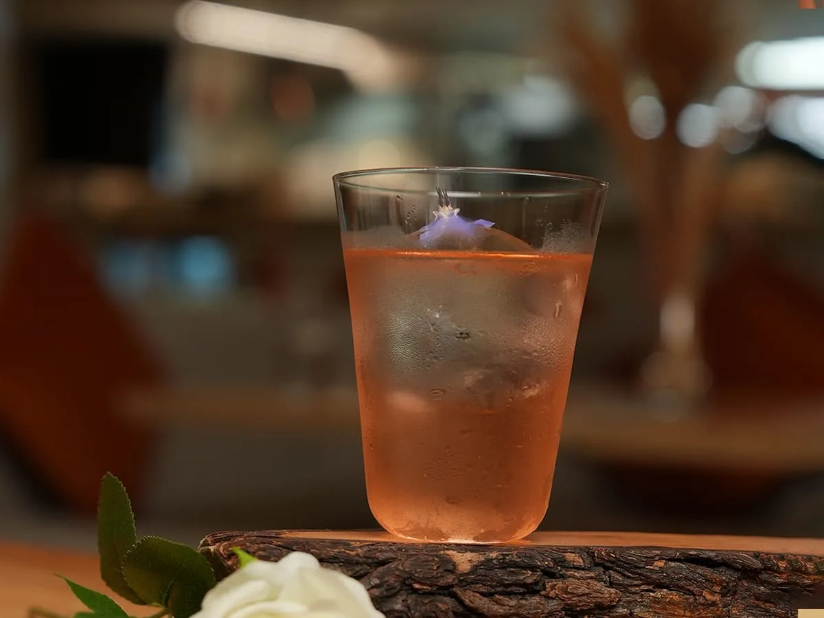 sofia_rosa_yoy_bar_dubai