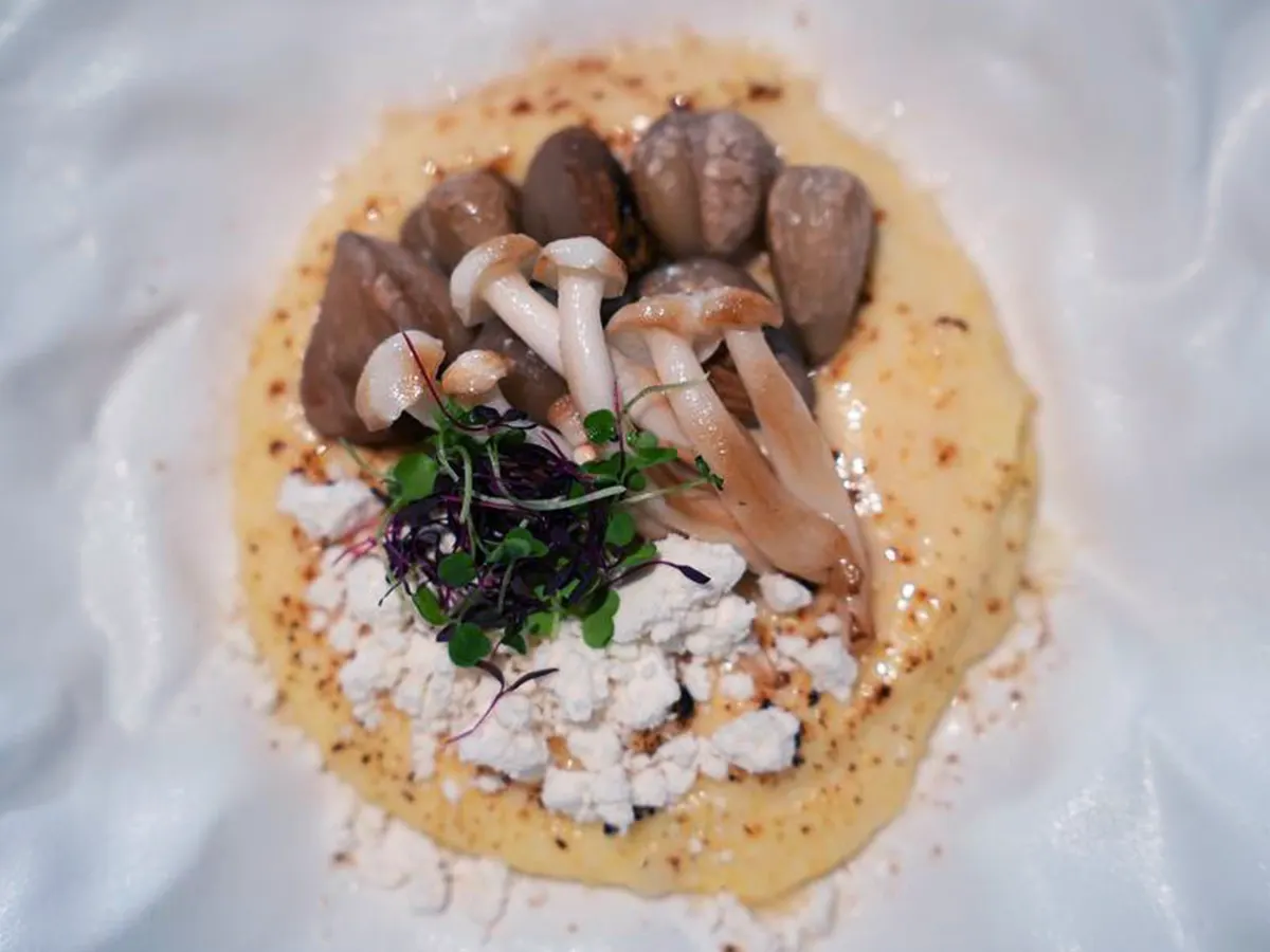 truffle_banosh_yoy_dubai_restaurant