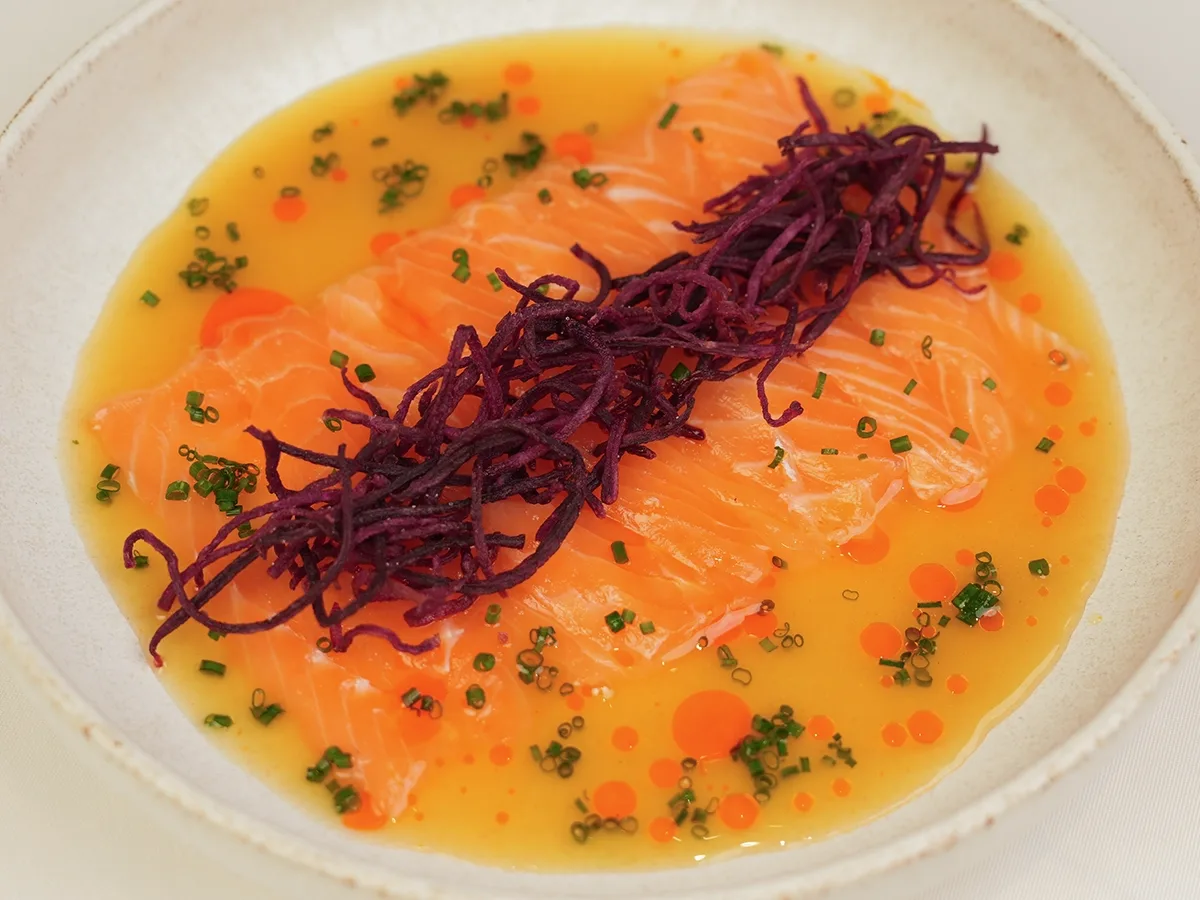 salmon carpaccio